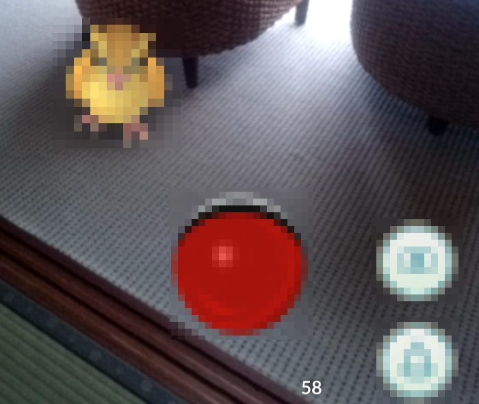 ポケモンGOはルールやマナーを守って遊びましょう