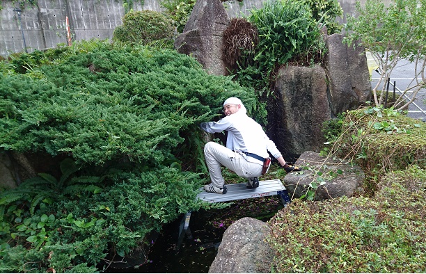 池の周りをきれいにする和尚さん