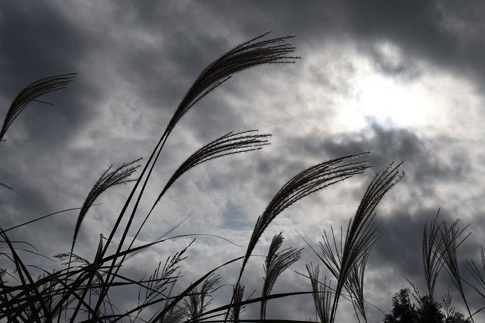 フォトコンテスト「やまちゃん」様の作品