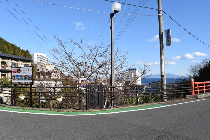 atagawa_cherryblossoms_2