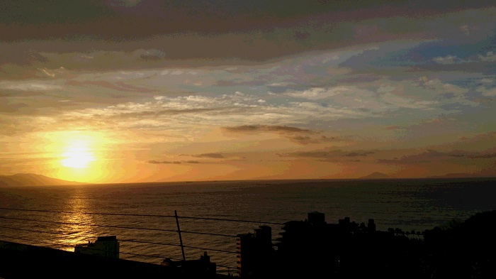 photocontest_shinji_sama