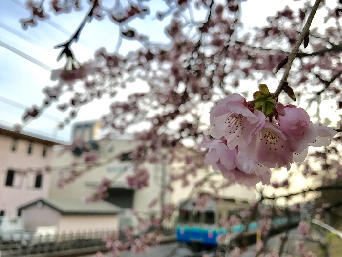 photocontest_RT_sama