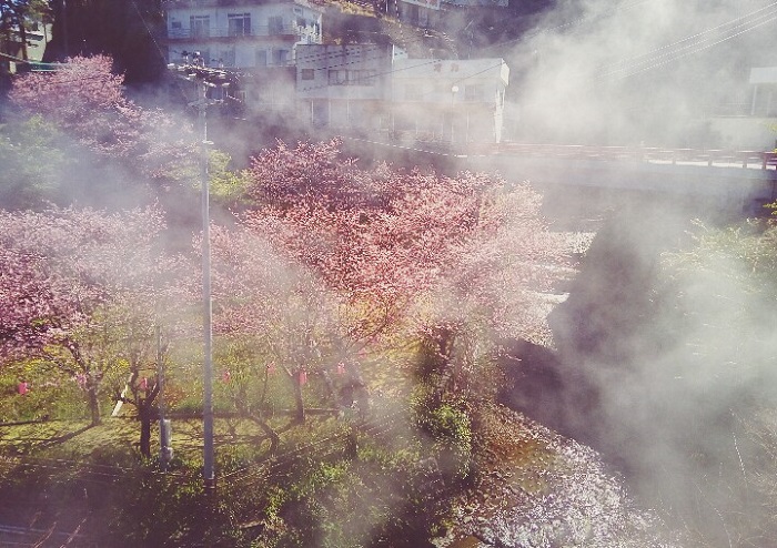 photocontest_creamsoda_sama