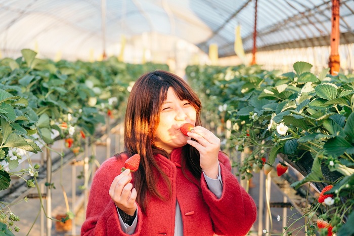 8735293A-C401-4B4B-BC77-3F583D5C6AA1