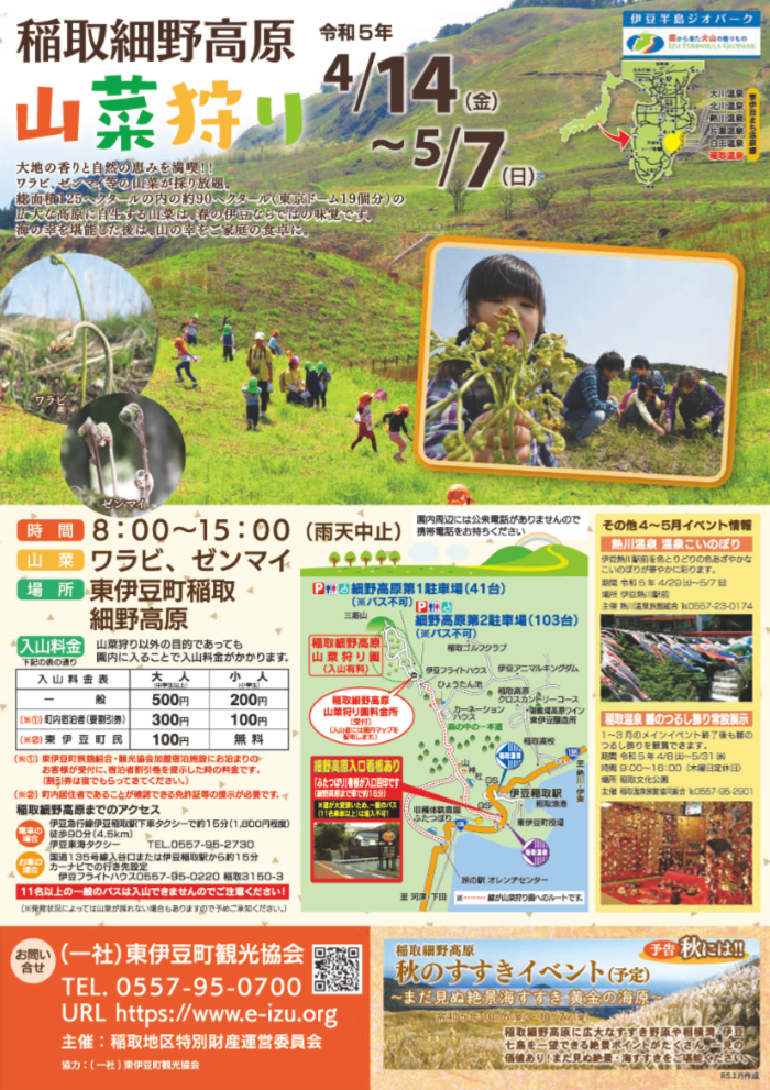 稲取細野高原 春の山菜狩りパンフ