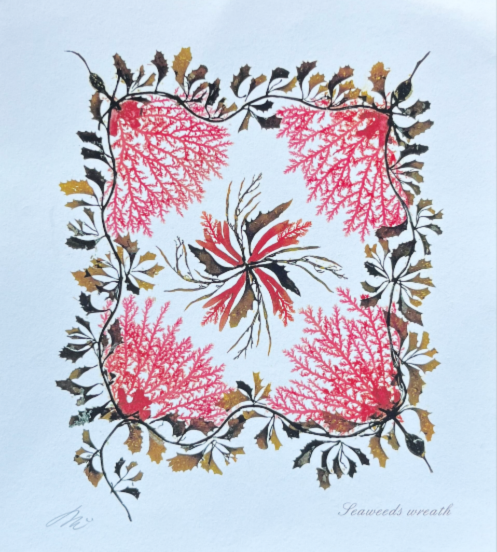 海藻おしば（小1）