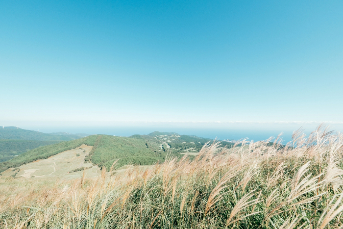 LINE_ALBUM_210926_102