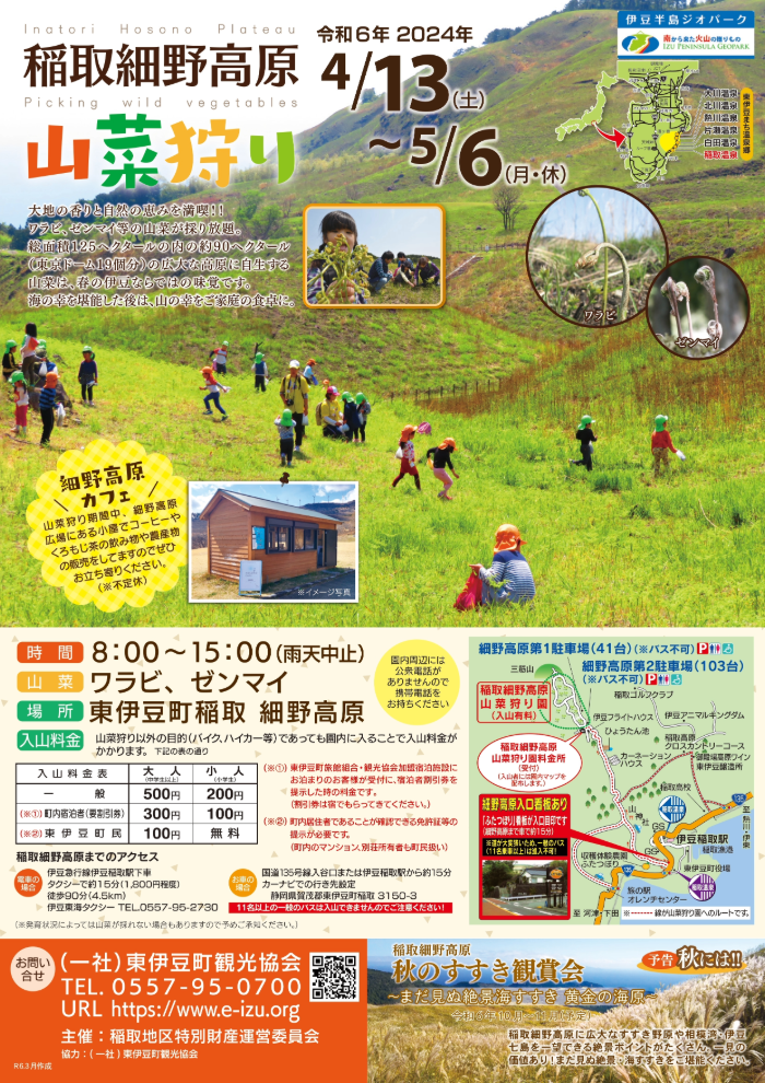 稲取細野高原 春の山菜狩り園