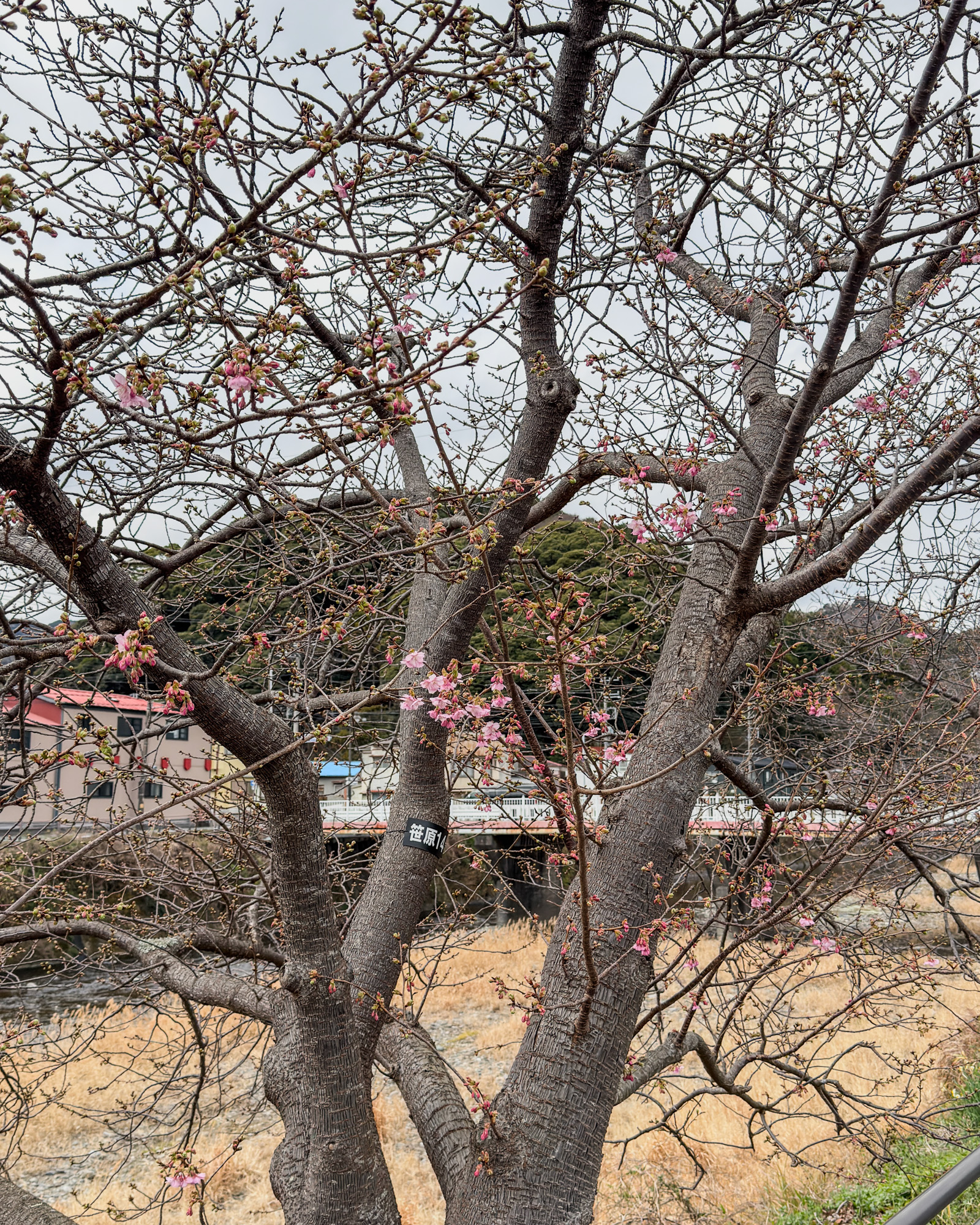 1A5884CA-3F27-4452-8CF2-D57140087663