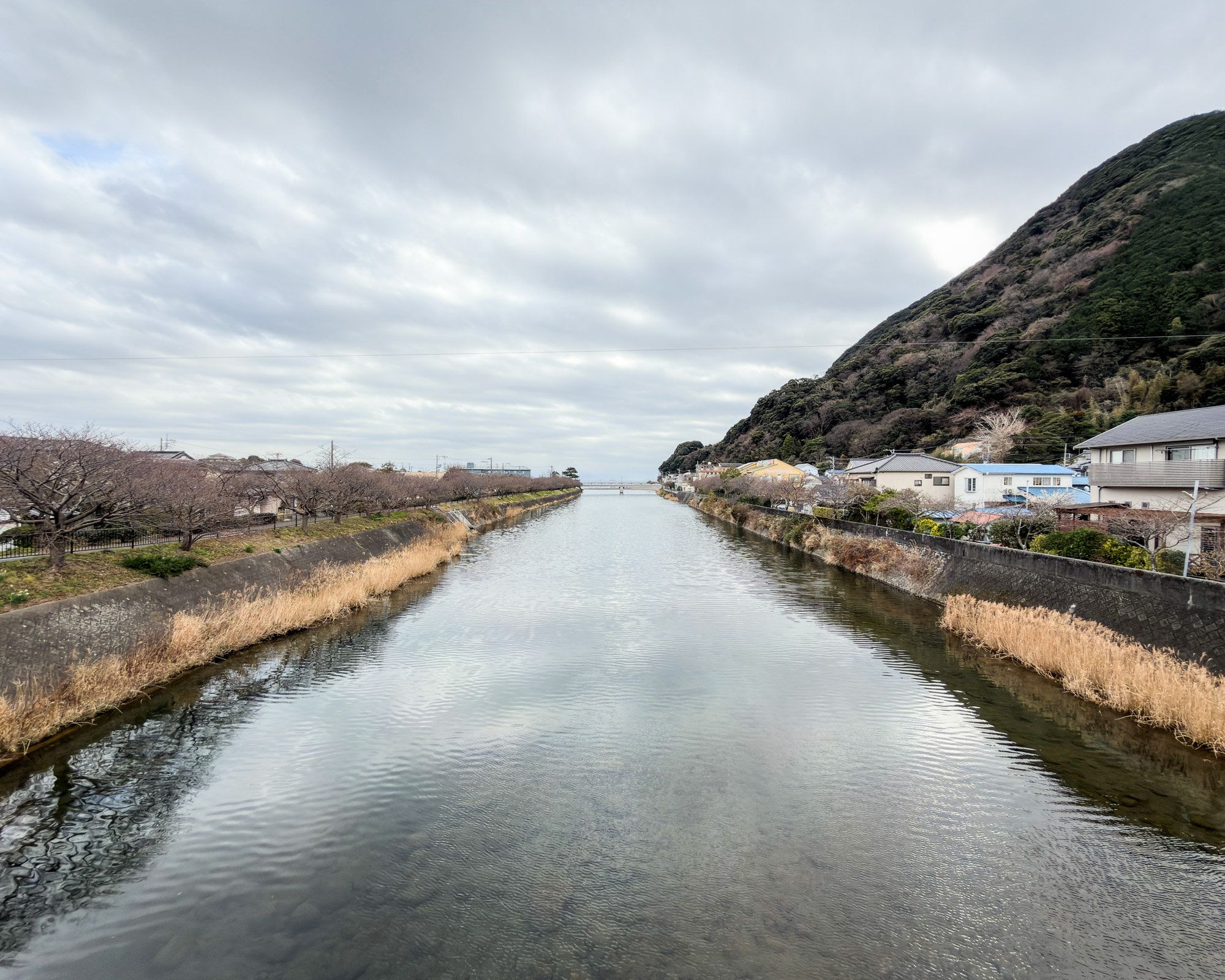 1D7E175F-B51B-4F44-A516-398C9B2853ED